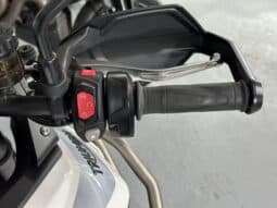 TRIUMPH TIGER 900 GT PRO