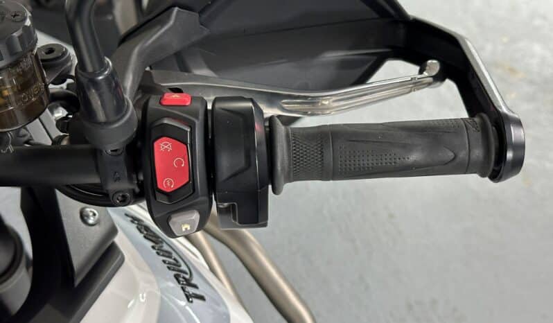 TRIUMPH TIGER 900 GT PRO