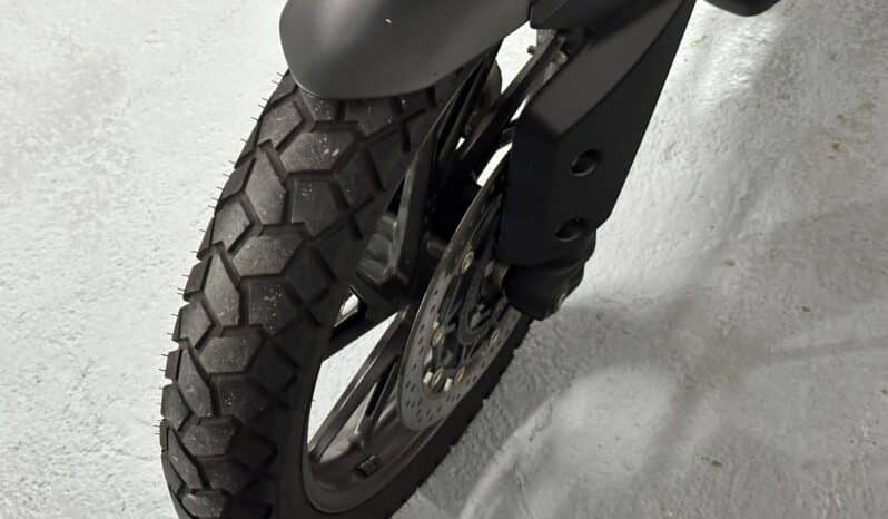 TRIUMPH TIGER 900 GT PRO