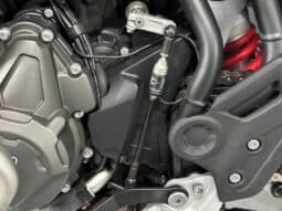 TRIUMPH TIGER 900 GT PRO