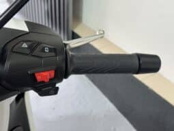 PIAGGIO BEVERLY 300 HPE