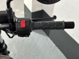 KAWASAKI ELIMINATOR 500 2026