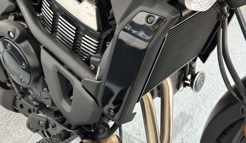 KAWASAKI VULCAN S 2025