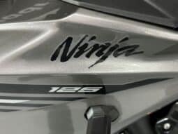 KAWASAKI NINJA 125 2026