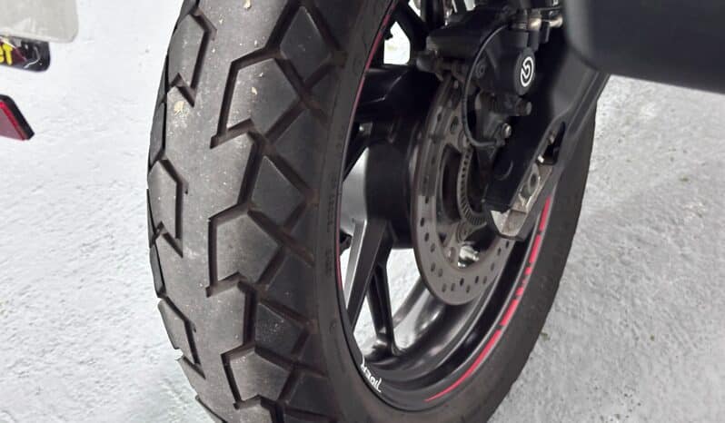 TRIUMPH TIGER 900 GT Pro