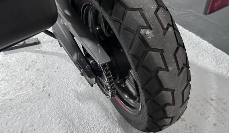TRIUMPH TIGER 900 GT Pro