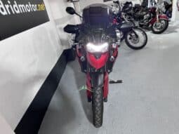 TRIUMPH TIGER 900 GT Pro