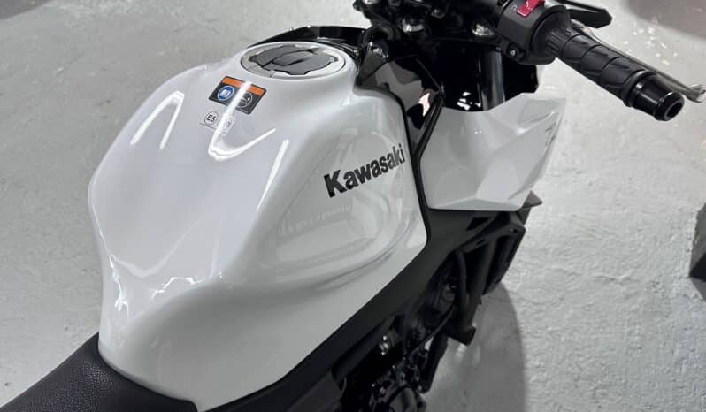 KAWASAKI Z 650 2026