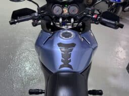 SUZUKI V-STROM DL 650