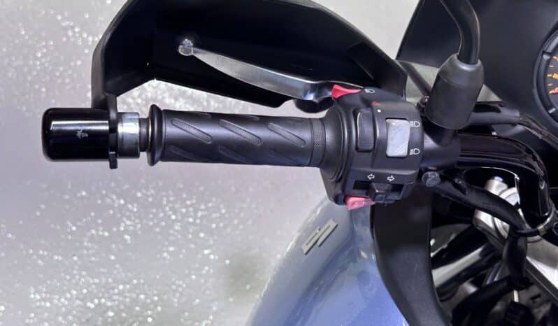 SUZUKI V-STROM DL 650