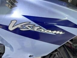 SUZUKI V-STROM DL 650