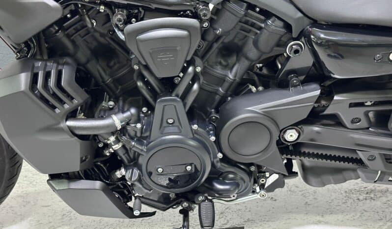 HARLEY DAVIDSON NIGHTSTER 2026