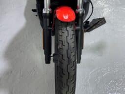 HARLEY DAVIDSON NIGHTSTER 2026