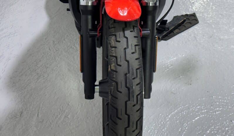 HARLEY DAVIDSON NIGHTSTER 2026