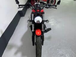 HARLEY DAVIDSON NIGHTSTER 2026