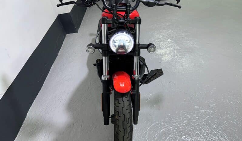 HARLEY DAVIDSON NIGHTSTER 2026
