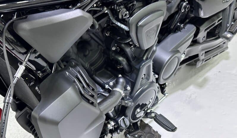 HARLEY DAVIDSON NIGHTSTER 2026