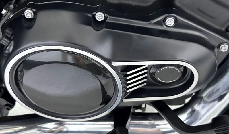 HARLEY DAVIDSON NIGHTSTER 2026