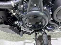 HARLEY DAVIDSON NIGHTSTER 2026