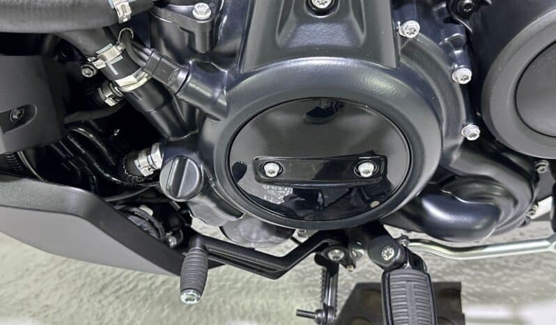 HARLEY DAVIDSON NIGHTSTER 2026