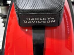 HARLEY DAVIDSON NIGHTSTER 2026