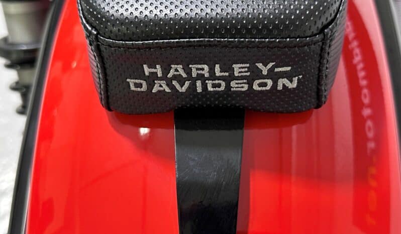 HARLEY DAVIDSON NIGHTSTER 2026