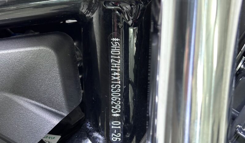 HARLEY DAVIDSON NIGHTSTER 2026