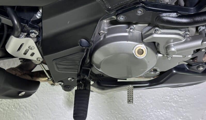 SUZUKI V-STROM 650