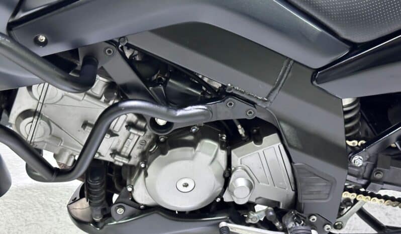 SUZUKI V-STROM 650