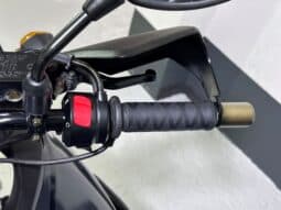 SUZUKI V-STROM 650