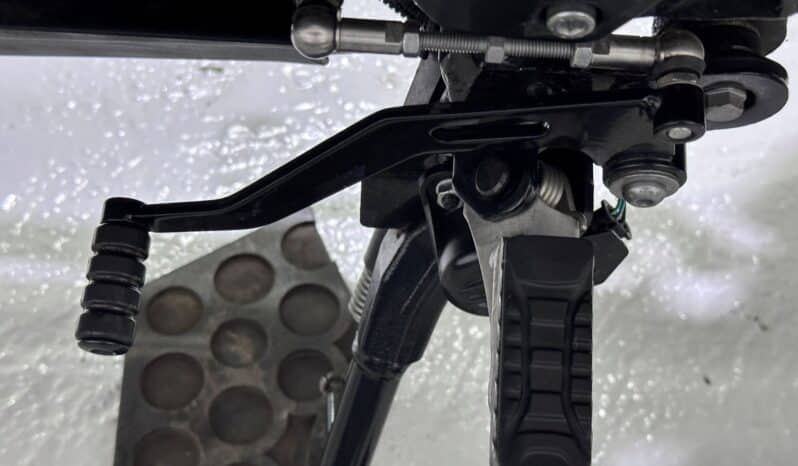BMW G 310 GS