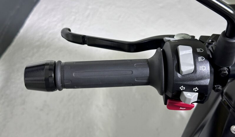 BMW G 310 GS