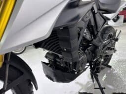 BMW G 310 GS